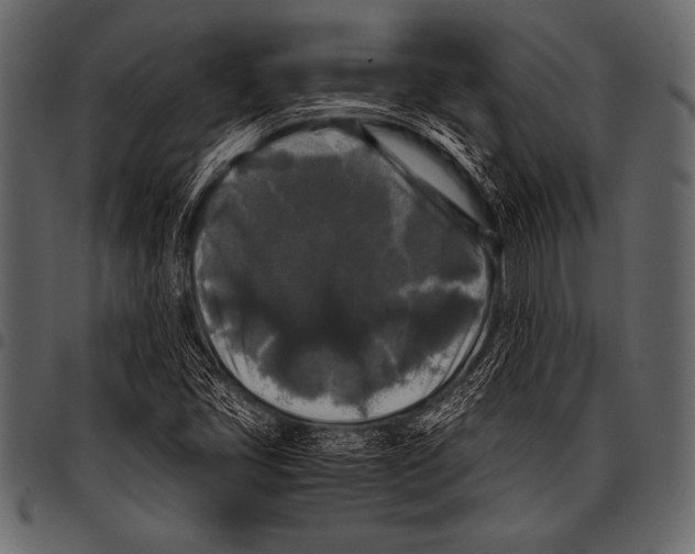 X0000097461405200803201416