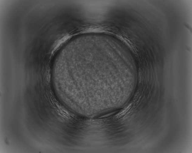 X0000097461406200803201416