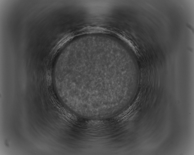 X0000097461407200803201416