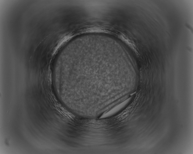 X0000097461408200803201416