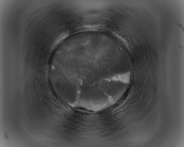 X0000097461411200803201416