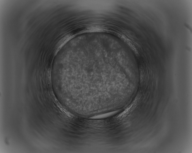 X0000097461417200803201416