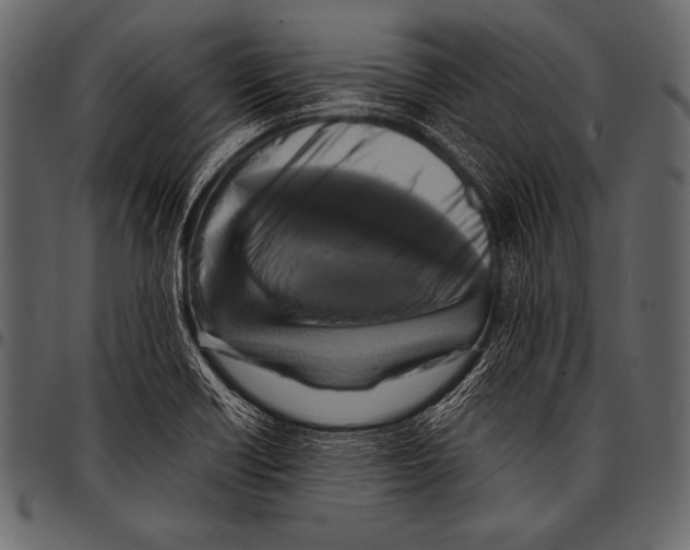 X0000097461418200803201416