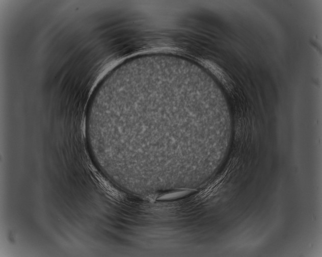 X0000097461420200803201416