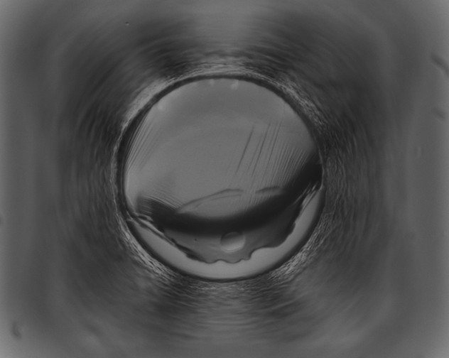 X0000097461422200803201416