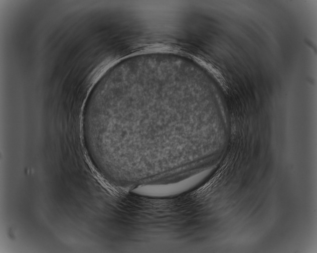 X0000097461423200803201416