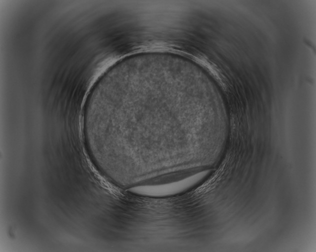 X0000097461424200803201416