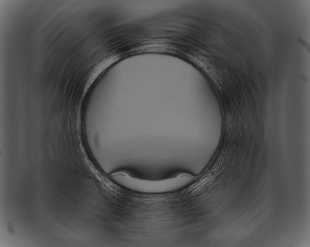 X0000097461426200803201416