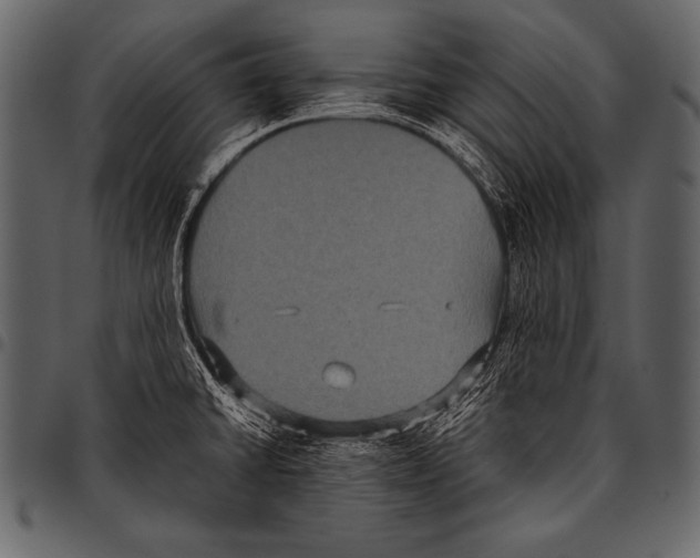 X0000097461430200803201416