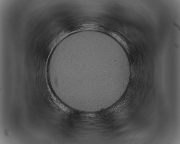 X0000097461431200803201416