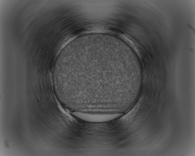 X0000097461433200803201416