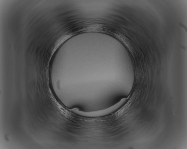 X0000097461434200803201417