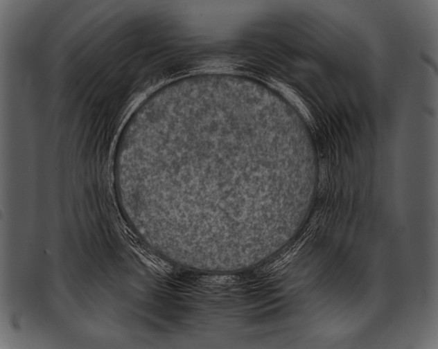 X0000097461435200803201417