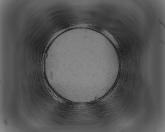 X0000097461436200803201417