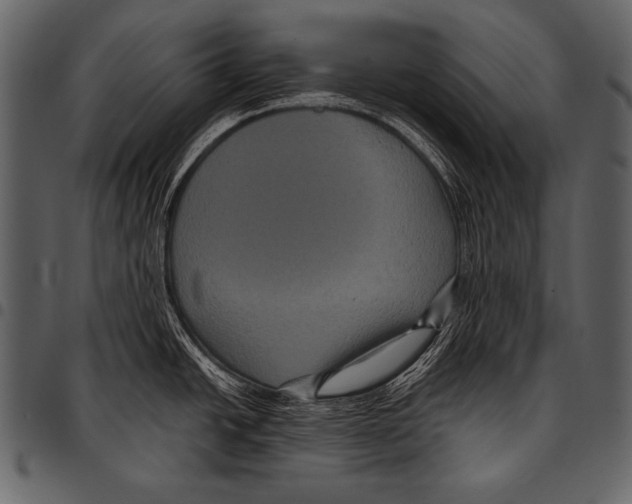 X0000097461438200803201417