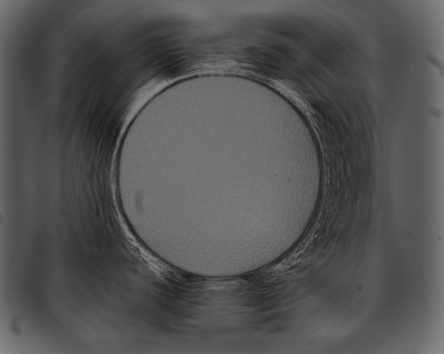 X0000097461440200803201417