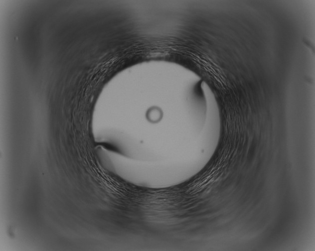 X0000097461441200803201416