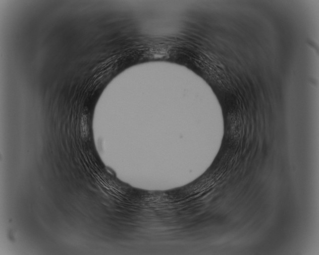 X0000097461442200803201416