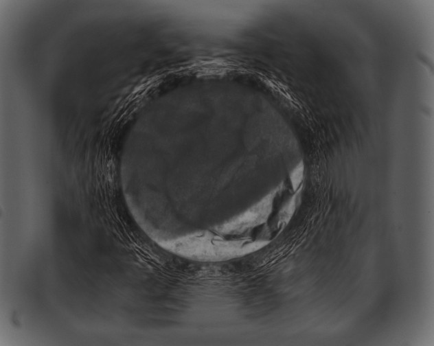 X0000097461445200803201416