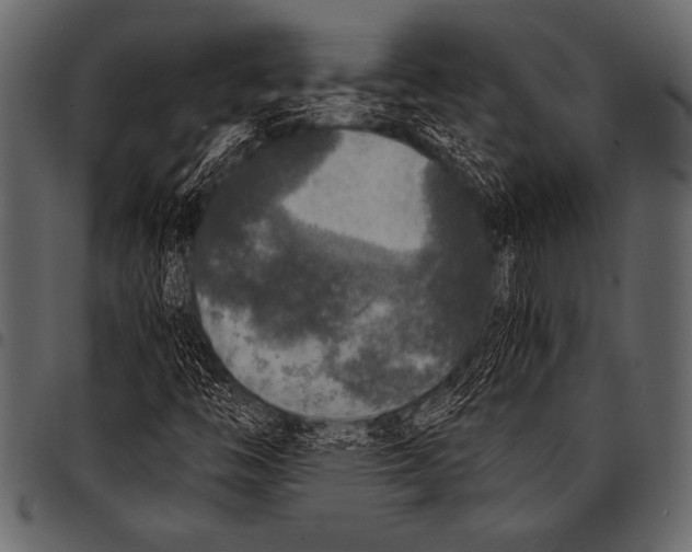 X0000097461446200803201416