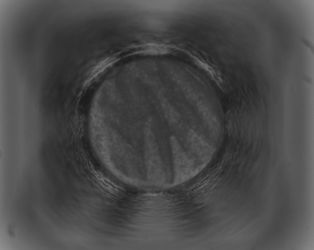 X0000097461448200803201416