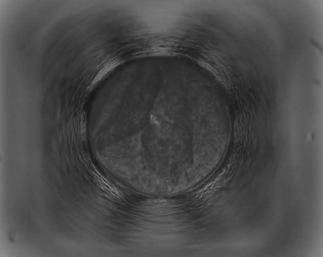 X0000097461450200803201416