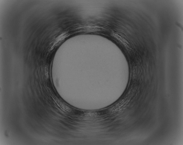 X0000097461451200803201416