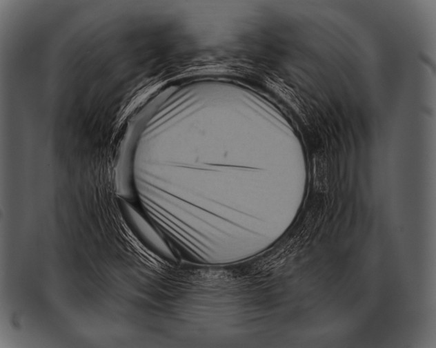 X0000097461452200803201416