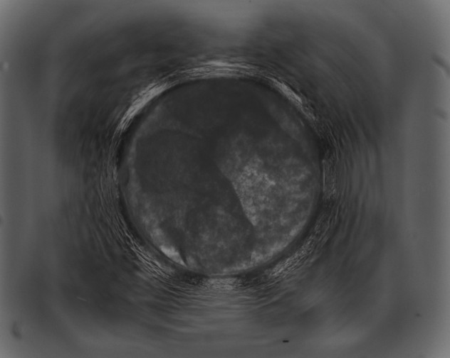 X0000097461453200803201416