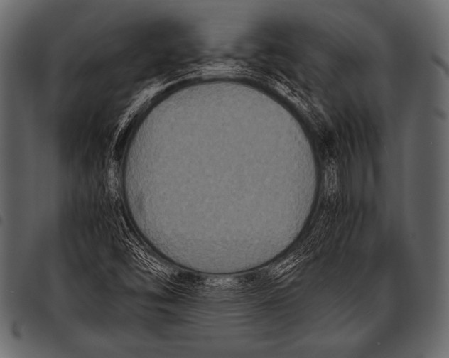 X0000097461454200803201416