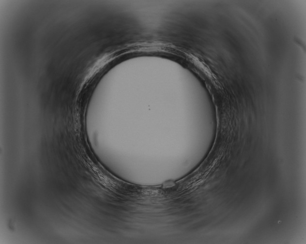 X0000097461456200803201416