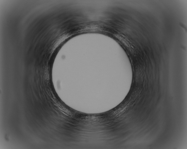 X0000097461458200803201416