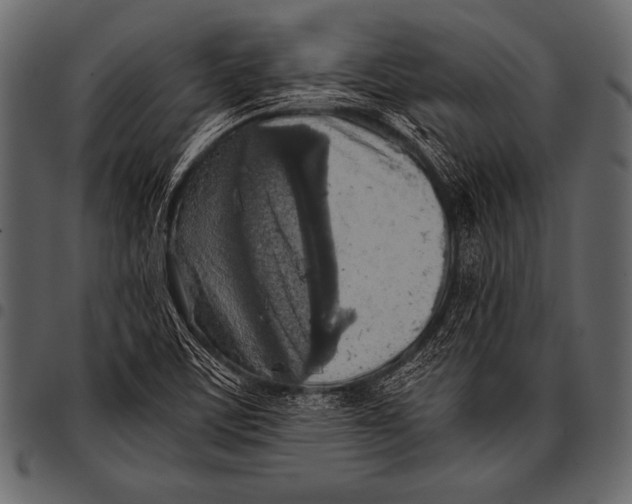 X0000097461459200803201416