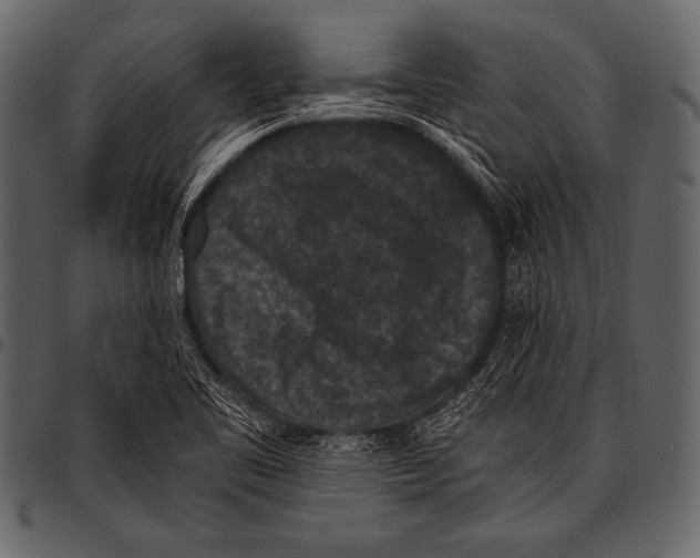 X0000097461461200803201416