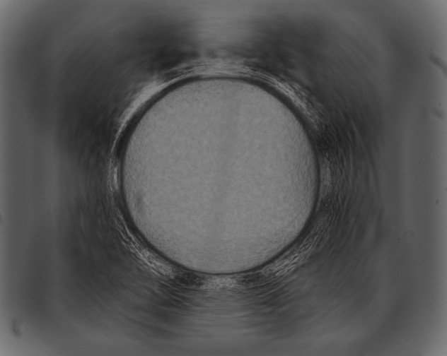 X0000097461462200803201416