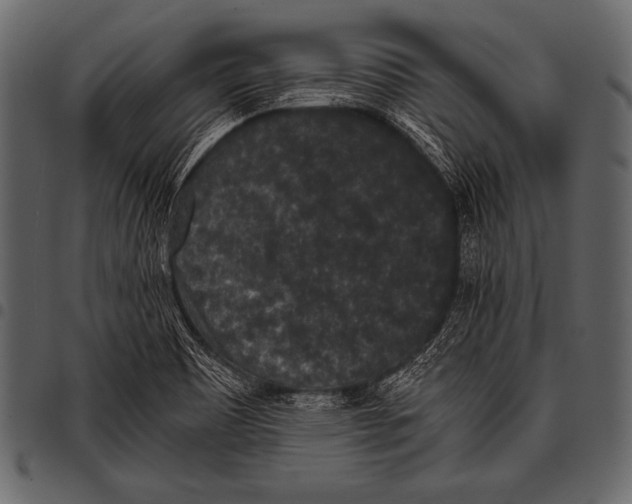 X0000097461465200803201416