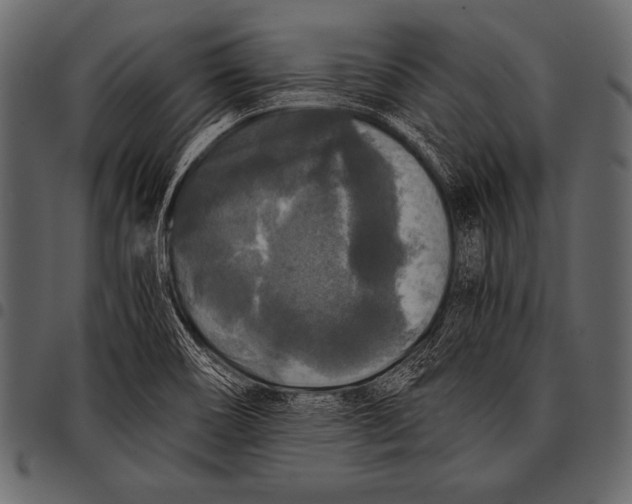 X0000097461466200803201416