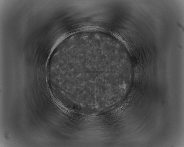 X0000097461467200803201416