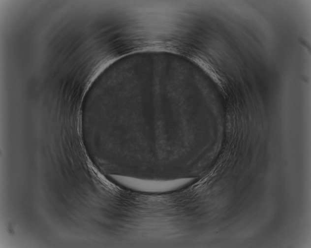 X0000097461468200803201416