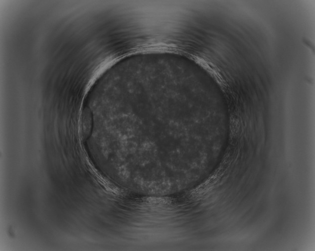 X0000097461469200803201416