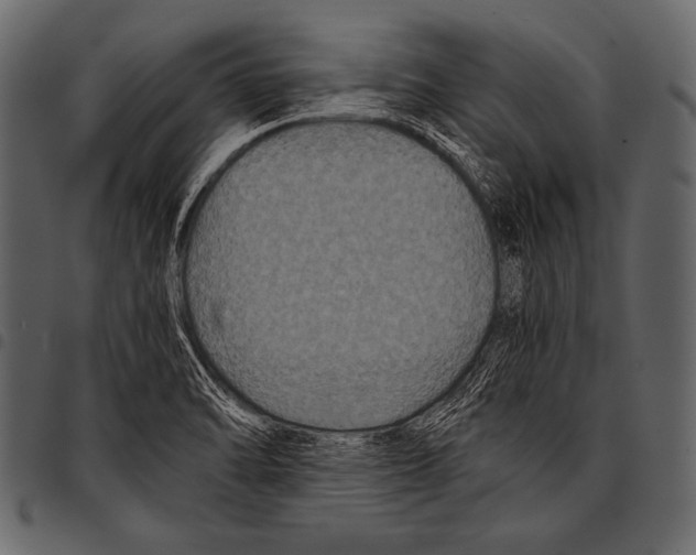 X0000097461470200803201416