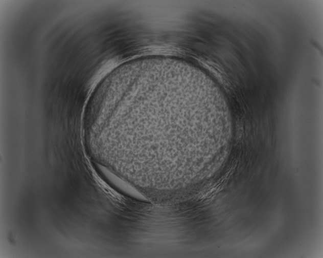 X0000097461471200803201416