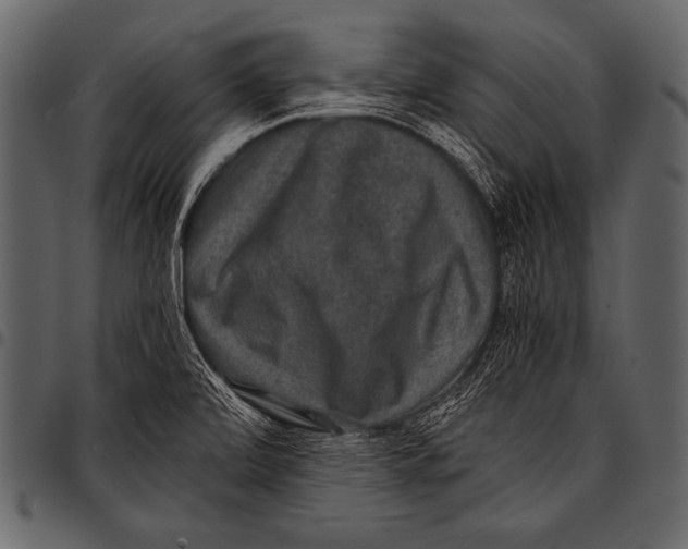 X0000097461472200803201416