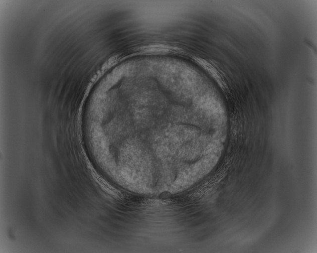 X0000097461475200803201415