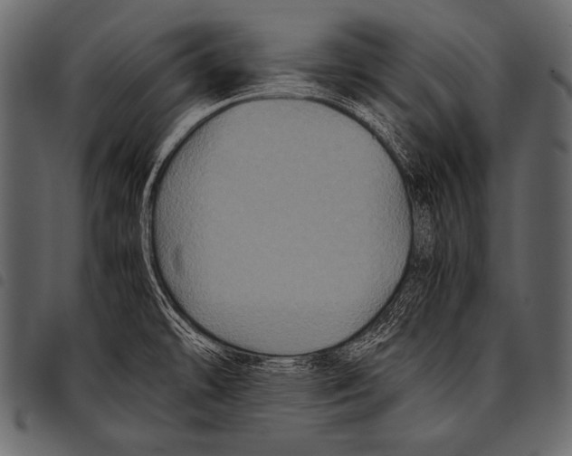 X0000097461478200803201415