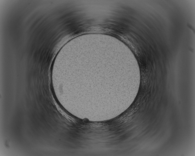 X0000097461479200803201415