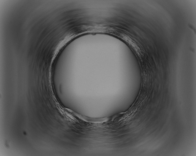 X0000097461480200803201415