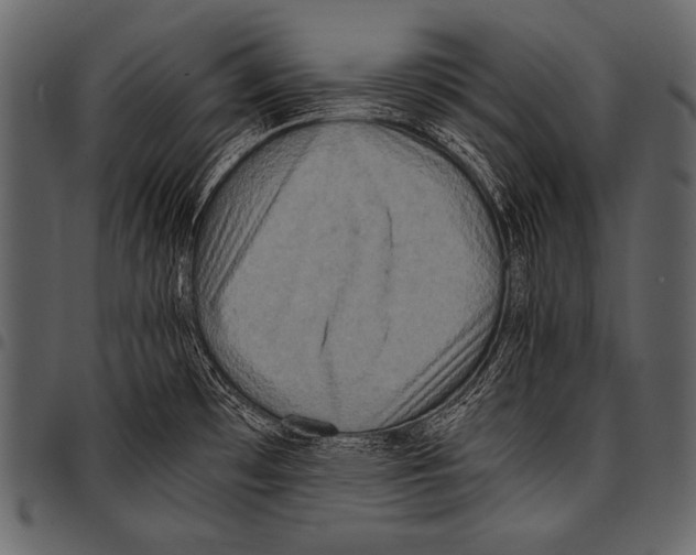 X0000097461481200803201415