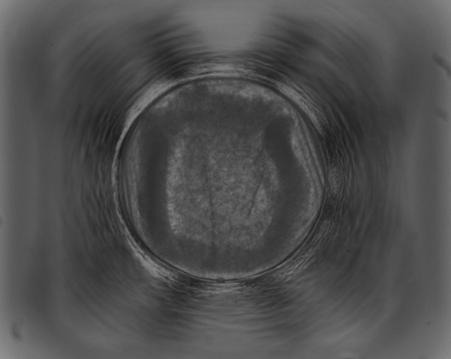 X0000097461482200803201415