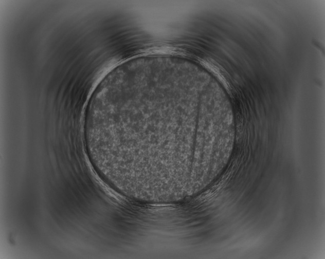 X0000097461483200803201415